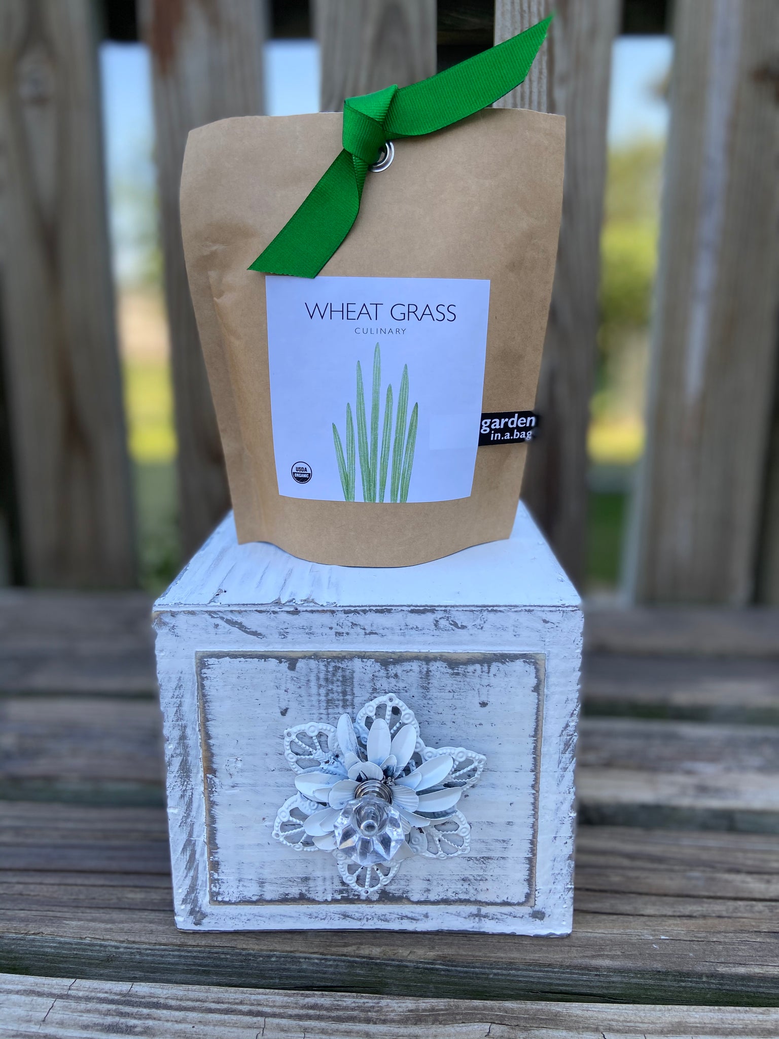 Garden-in-a-bag Wheat Grass